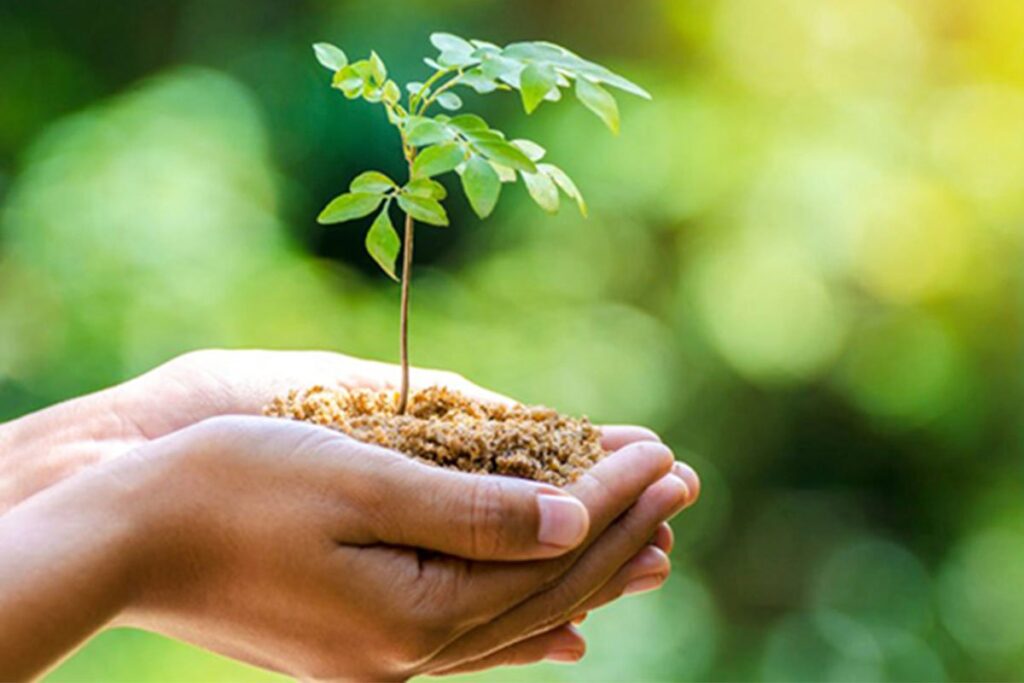 Inspirasi Gaya Hidup Ramah Lingkungan untuk Milenial